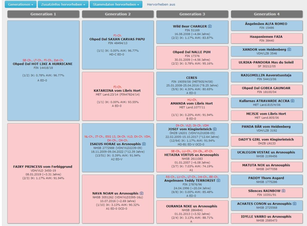 landseer, chovatelská stanice landseer, krycí pes, chovný pes, Krkonoše
